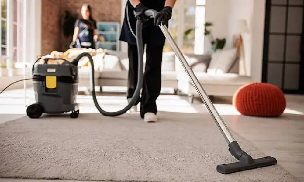 Sofa & Carpet Cleaning
